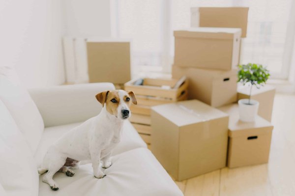 Quels sont les matelas les plus adaptés pour les personnes souffrant de maux de dos ?