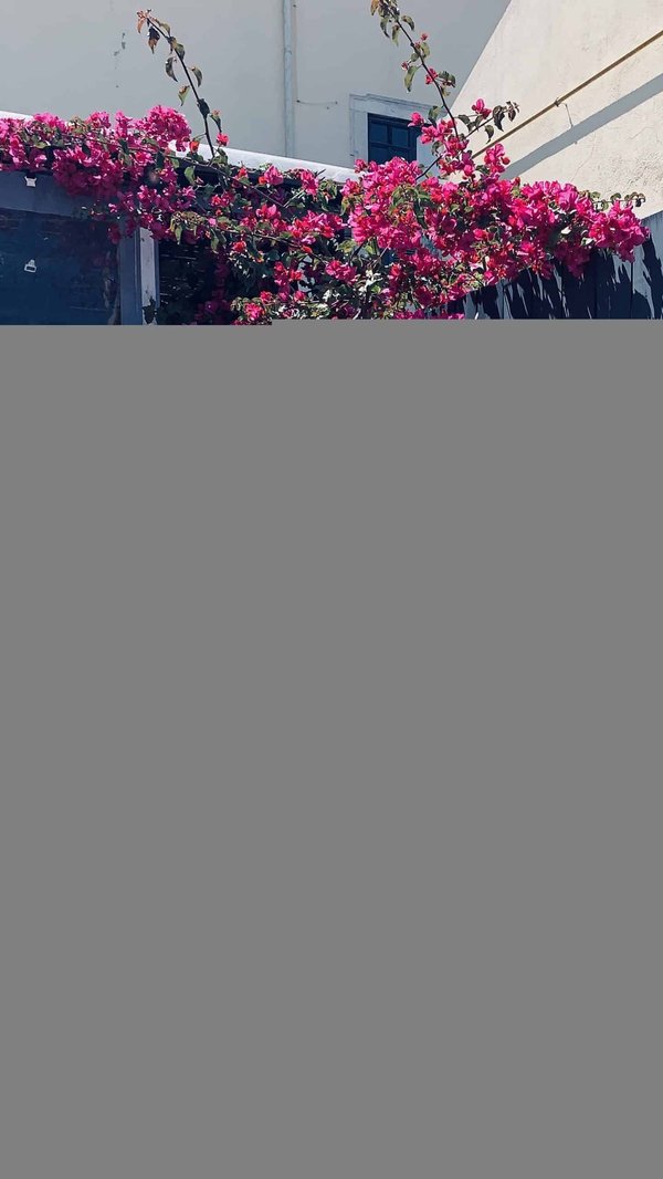 Spécialiste des terrasse en bois et composite : il peut remplacer facilement les éléments défaillants