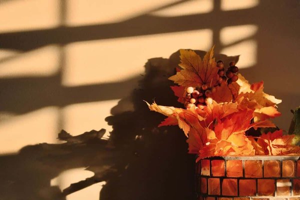 Comment meubler votre maison sans se ruiner ?